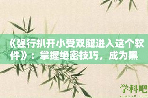 《强行扒开小受双腿进入这个软件》：掌握绝密技巧，成为黑客世界的霸主