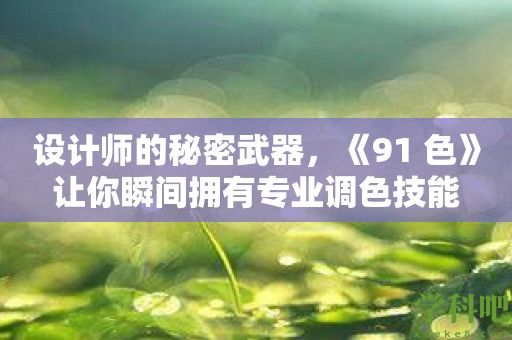 设计师的秘密武器，《91 色》让你瞬间拥有专业调色技能