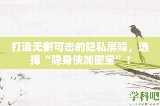 打造无懈可击的隐私屏障，选择“隐身侠加密宝”！