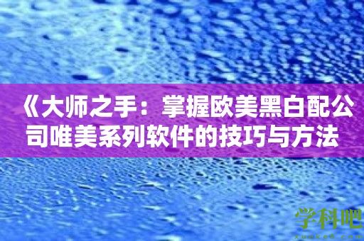 《大师之手：掌握欧美黑白配公司唯美系列软件的技巧与方法》