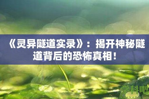 《灵异隧道实录》：揭开神秘隧道背后的恐怖真相！