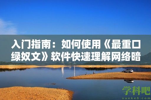 入门指南：如何使用《最重口绿奴文》软件快速理解网络暗语