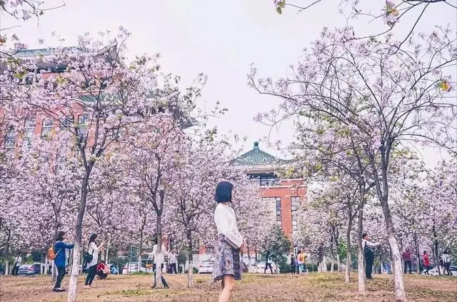 广东顺德和平手外科医院