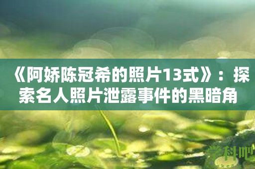 《阿娇陈冠希的照片13式》：探索名人照片泄露事件的黑暗角落