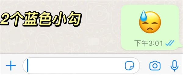 whatsapp打两个勾