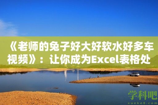 《老师的兔子好大好软水好多车视频》：让你成为Excel表格处理高手！