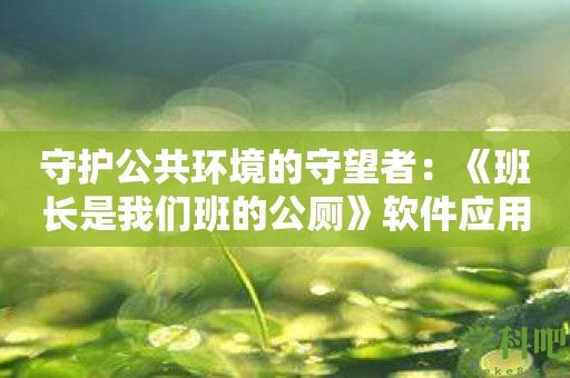 守护公共环境的守望者：《班长是我们班的公厕》软件应用实战