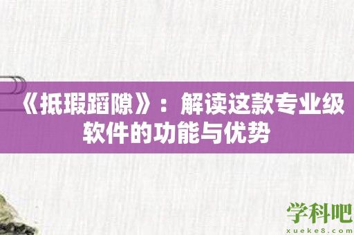 《抵瑕蹈隙》：解读这款专业级软件的功能与优势