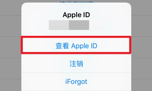 苹果itunesstore目前无法处理您的购买