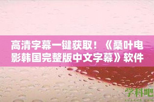 高清字幕一键获取！《桑叶电影韩国完整版中文字幕》软件助你纵享电影盛宴！