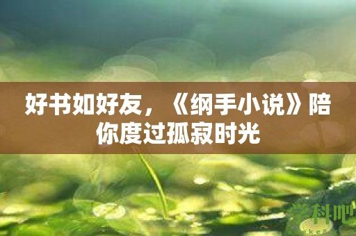 好书如好友，《纲手小说》陪你度过孤寂时光