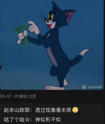 猫鼠ak