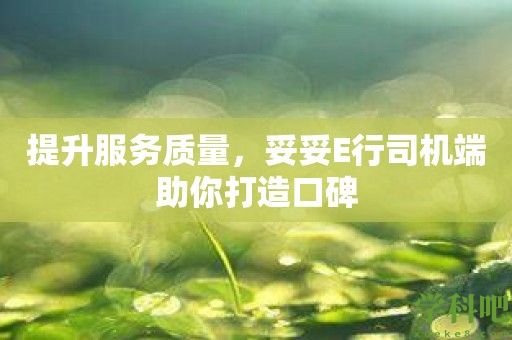 提升服务质量，妥妥E行司机端助你打造口碑