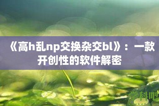 《高h乱np交换杂交bl》：一款开创性的软件解密