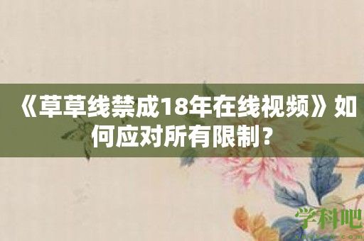 《草草线禁成18年在线视频》如何应对所有限制？