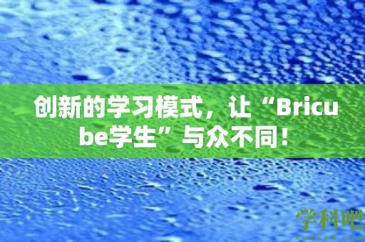 创新的学习模式，让“Bricube学生”与众不同！