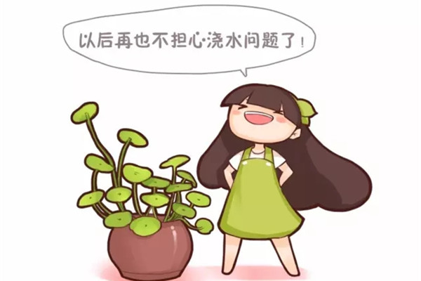 花放水里能活吗