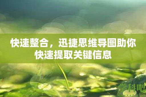 快速整合，迅捷思维导图助你快速提取关键信息