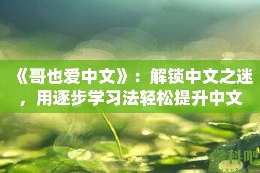 《哥也爱中文》：解锁中文之迷，用逐步学习法轻松提升中文实力