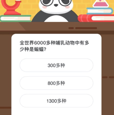 全世界6000多种哺乳动物中有多少种是蝙蝠的