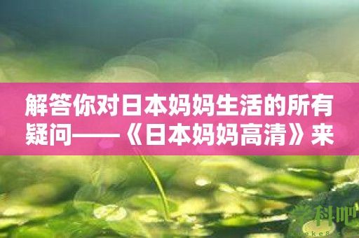 解答你对日本妈妈生活的所有疑问——《日本妈妈高清》来帮你