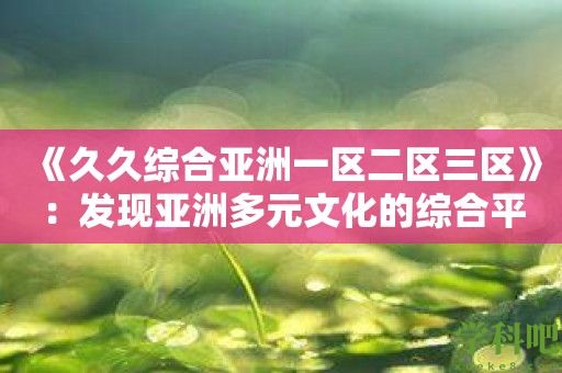 《久久综合亚洲一区二区三区》：发现亚洲多元文化的综合平台