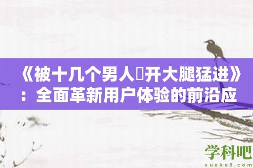 《被十几个男人扖开大腿猛进》：全面革新用户体验的前沿应用