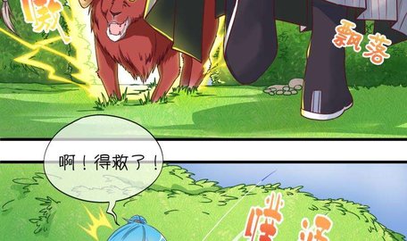 漫画岛的漫画卷怎么用