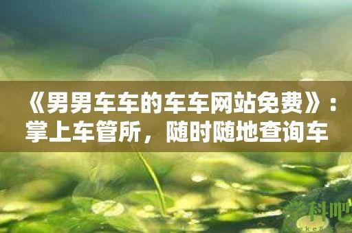 《男男车车的车车网站免费》：掌上车管所，随时随地查询车辆信息！