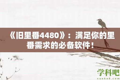 《旧里番4480》：满足你的里番需求的必备软件！