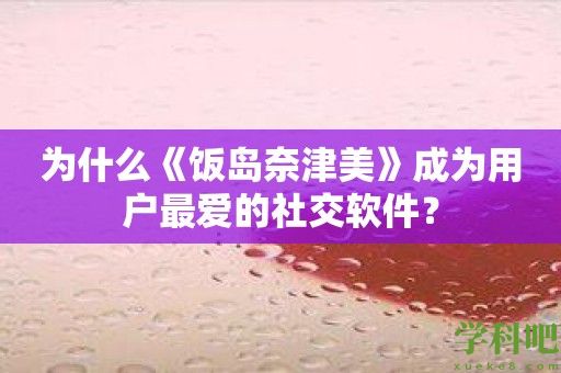 为什么《饭岛奈津美》成为用户最爱的社交软件？