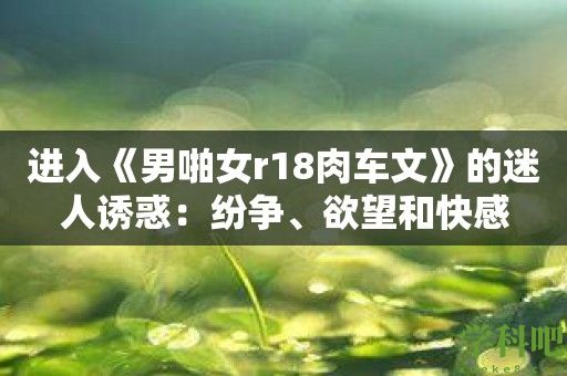 进入《男啪女r18肉车文》的迷人诱惑：纷争、欲望和快感