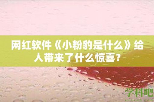 网红软件《小粉豹是什么》给人带来了什么惊喜？