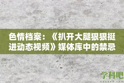 色情档案：《扒开大腿狠狠挺进动态视频》媒体库中的禁忌镜头