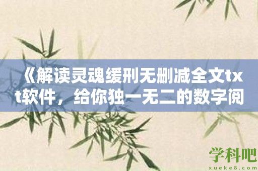 《解读灵魂缓刑无删减全文txt软件，给你独一无二的数字阅读体验》