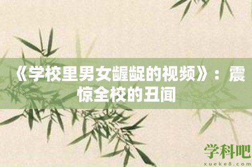 《学校里男女龌龊的视频》：震惊全校的丑闻