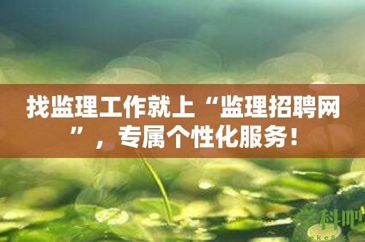 找监理工作就上“监理招聘网”，专属个性化服务！