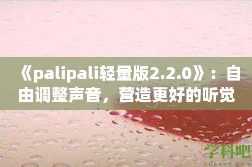 《palipali轻量版2.2.0》：自由调整声音，营造更好的听觉体验