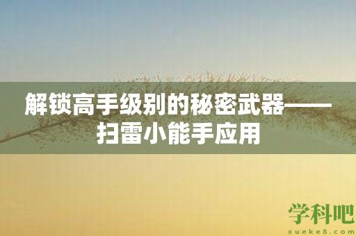 解锁高手级别的秘密武器——扫雷小能手应用