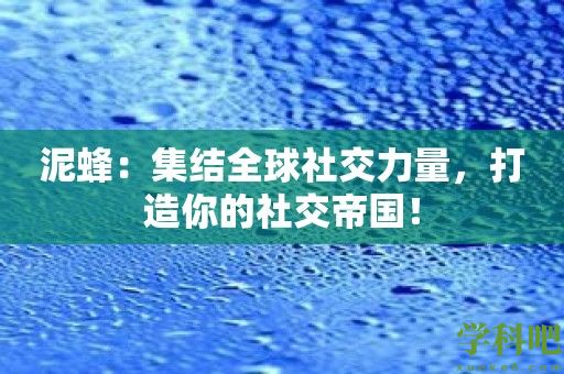 泥蜂：集结全球社交力量，打造你的社交帝国！