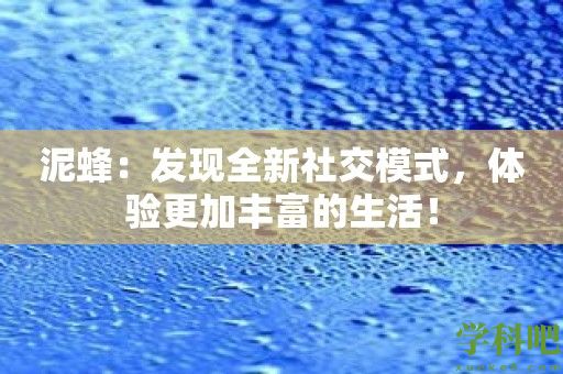 泥蜂：发现全新社交模式，体验更加丰富的生活！