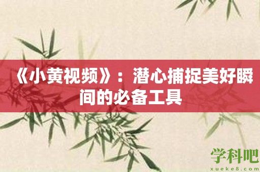 《小黄视频》：潜心捕捉美好瞬间的必备工具