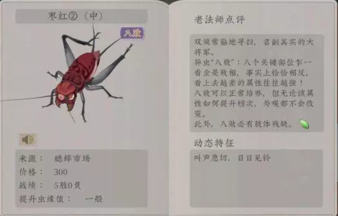 沉默的蟋蟀什么时候上线