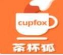 茶杯狐 CUPFOX 茶杯狐