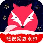 抖音视频去水印app