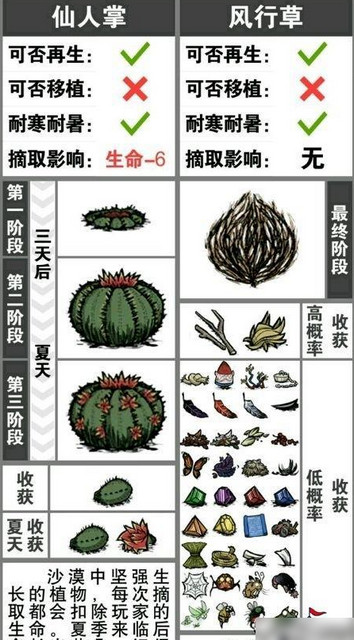 饥荒仙人掌花有什么用处