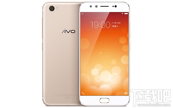 vivo