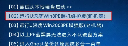 pe 没有找到分区