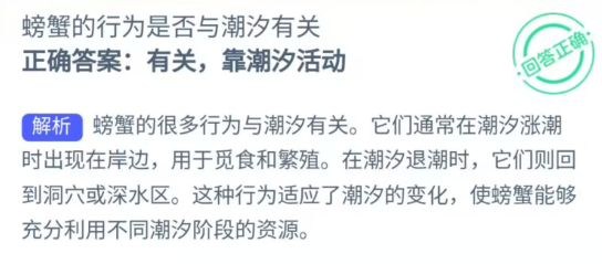 螃蟹的行为是否与潮汐有关